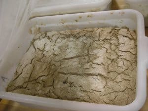 The rye flour dusted on top of the rye starter made it easy to see how developed the starter was