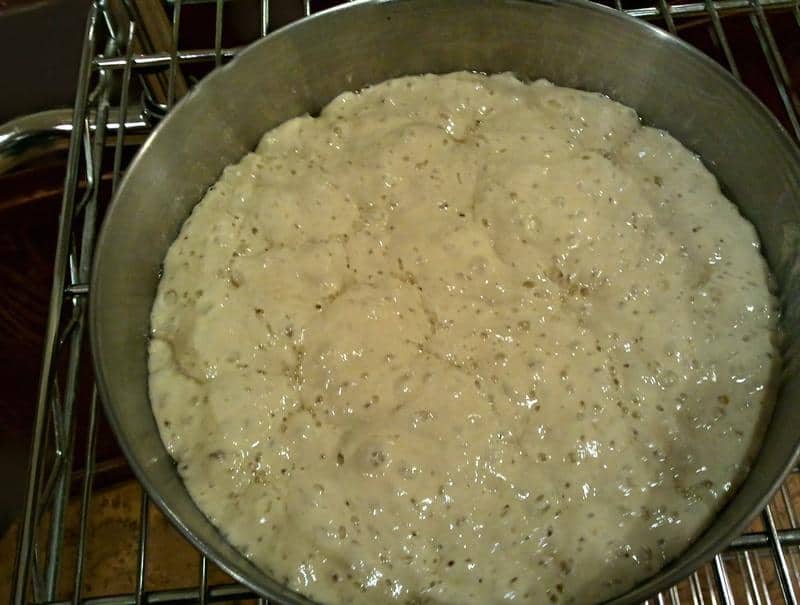 Poolish ready for use