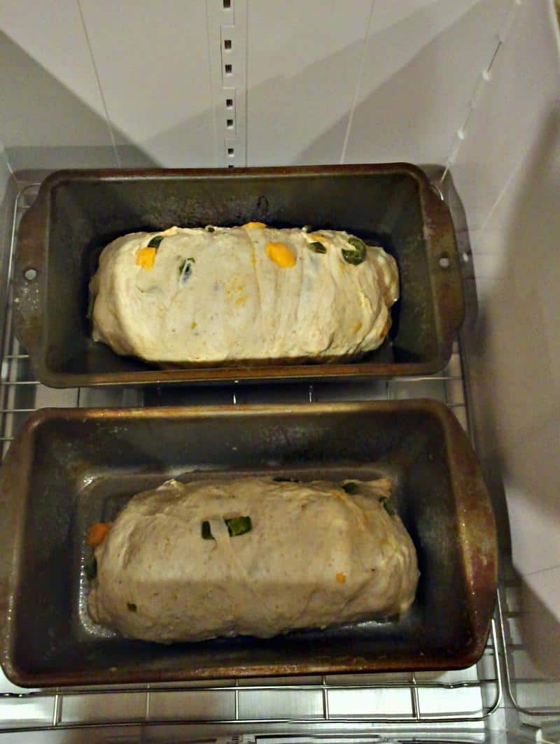 The proofer, raising some bread dough