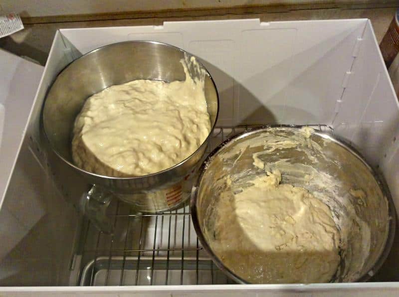 Some dough rising in the Brod and Taylor