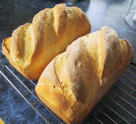 San Francisco Style Sourdough Pan Loaf