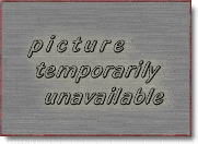 Apologies, no picture yet