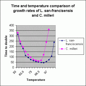 Time and temperature chart comparing  yeast and sourdough bacteria