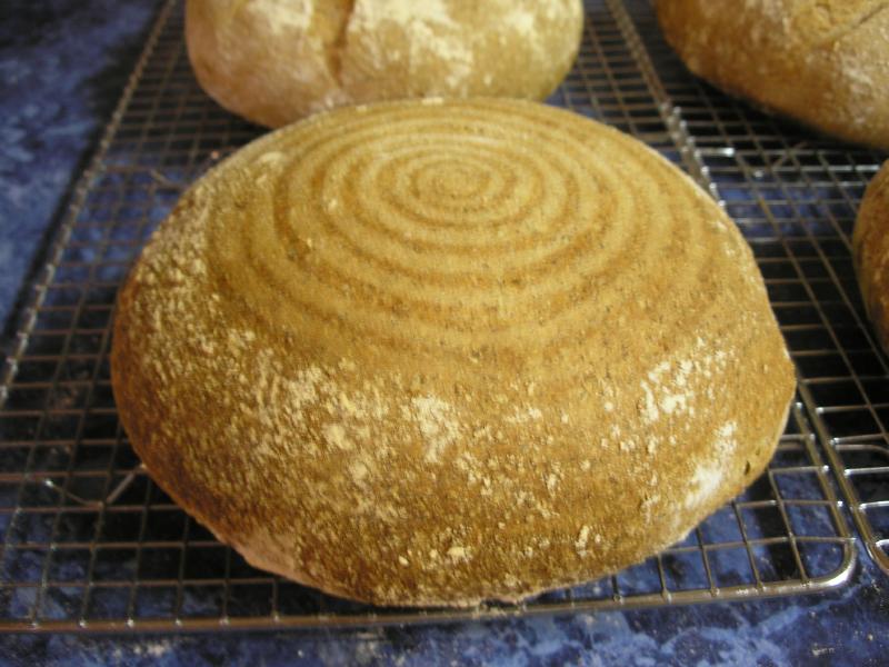 A whole wheat boule